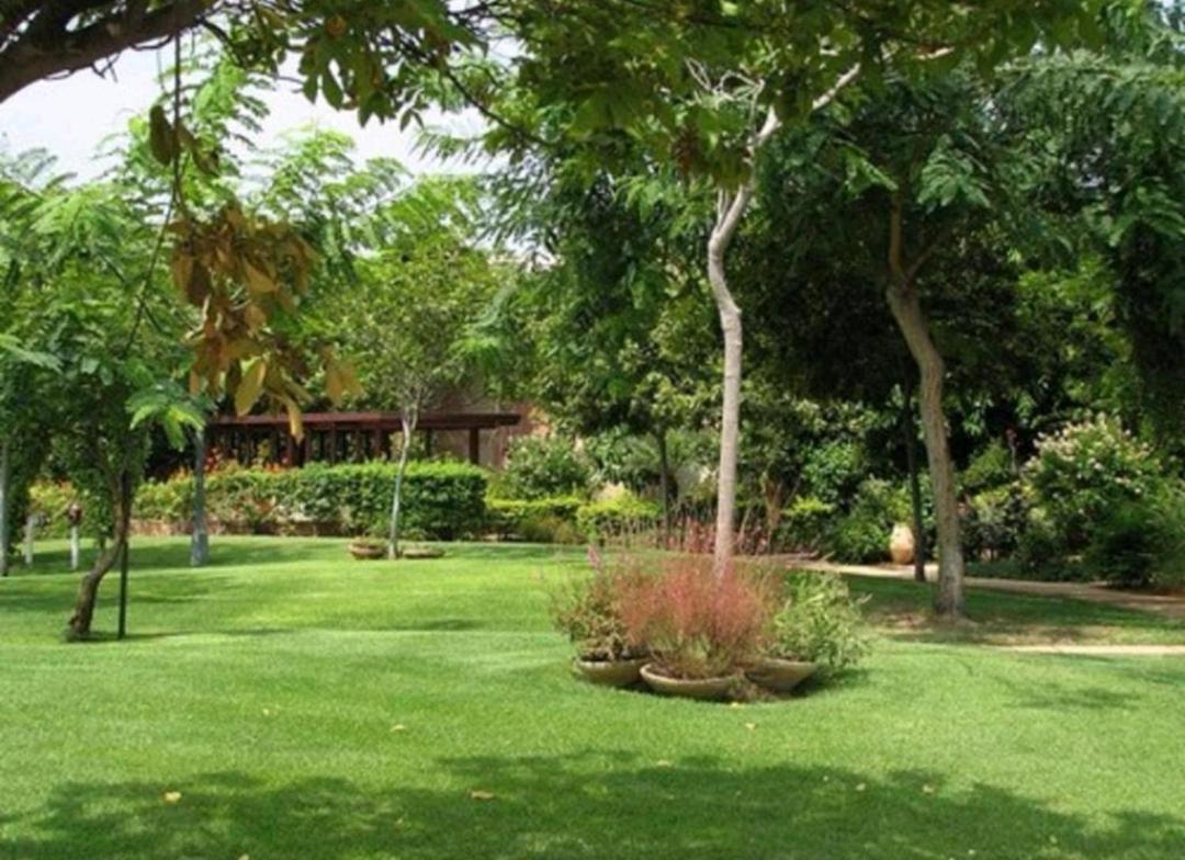 Sea View Suites - דירות נופש עם מקלט Kayserya Dış mekan fotoğraf